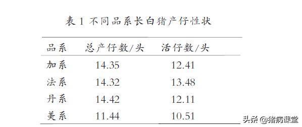 猪皮夹克的质量与特性分析