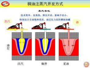 拉链的专业知识详解